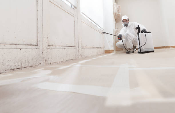 24/7 Emergency Commercial Mold Remediation experts in Sandy Spring, MD