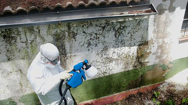 Top rated local Commercial Mold Remediation specialists in Sandy Spring, MD